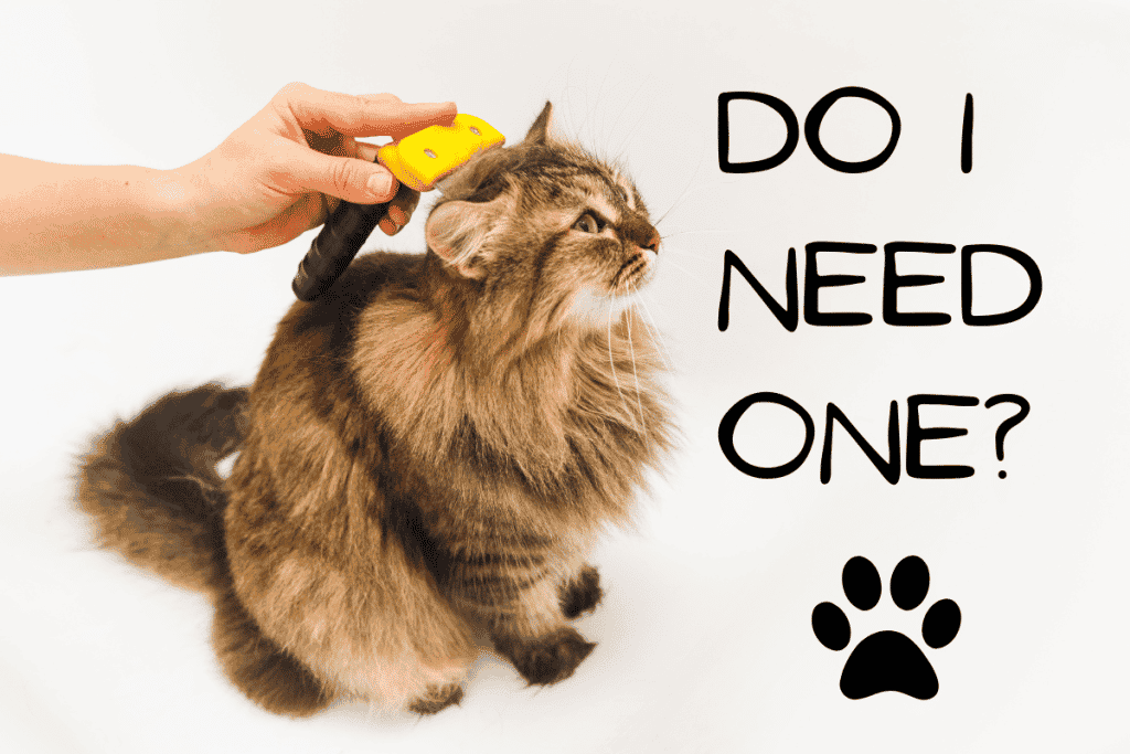 Furminator For Cats Do I Need One?